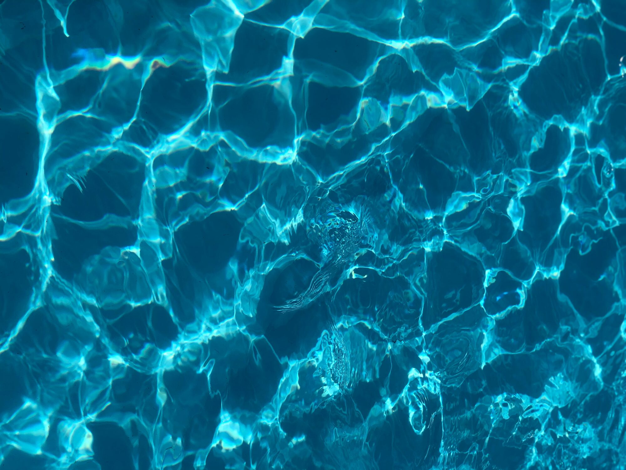 Regulament bazin Gate of water