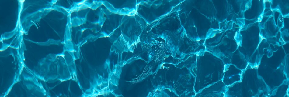 Regulament bazin Gate of water